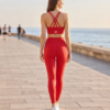 Ensemble Azalée rouge FITTO vu de dos sur une promenade côtière